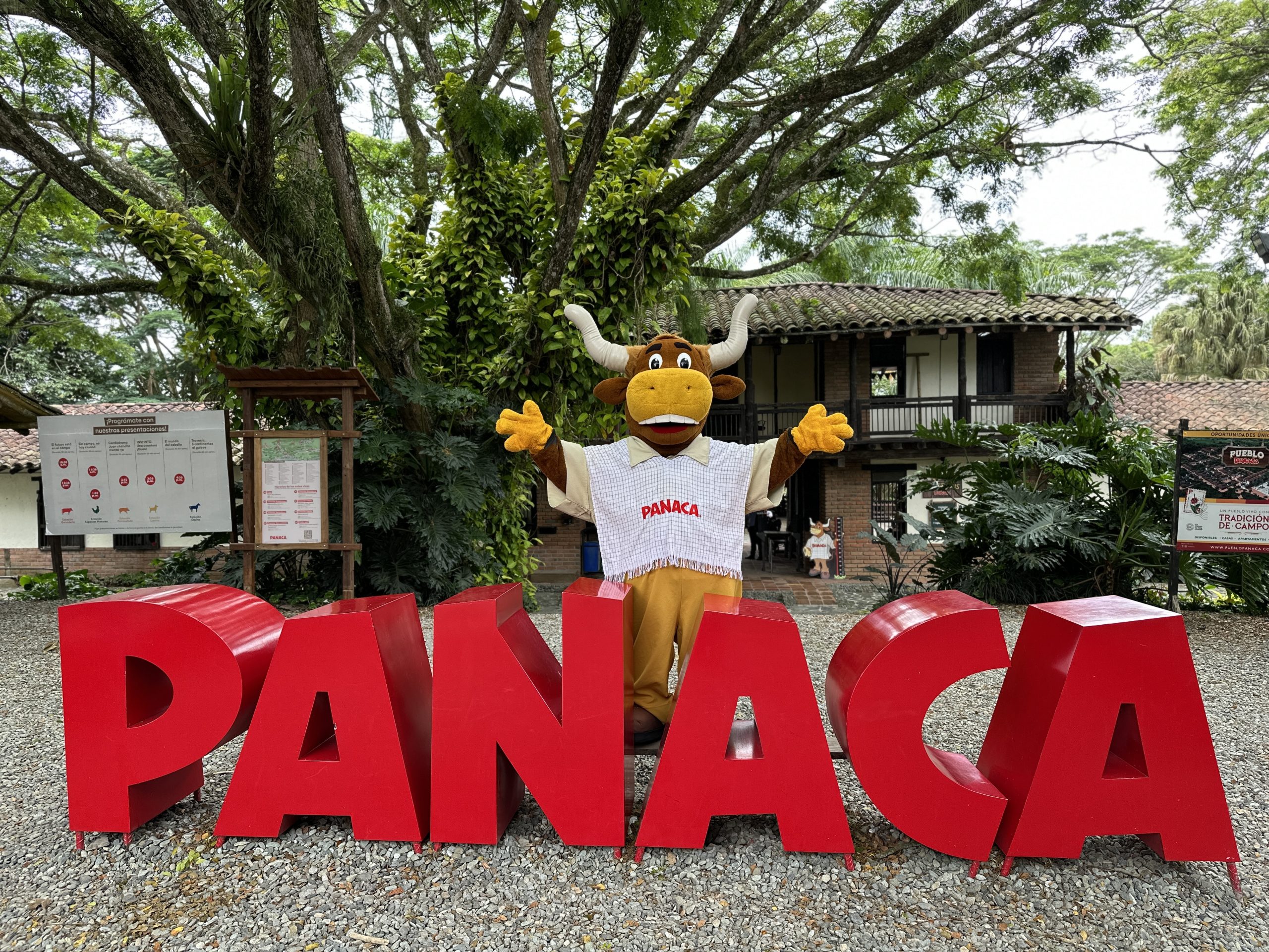 PanacaImg